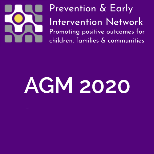 PEIN AGM 2020